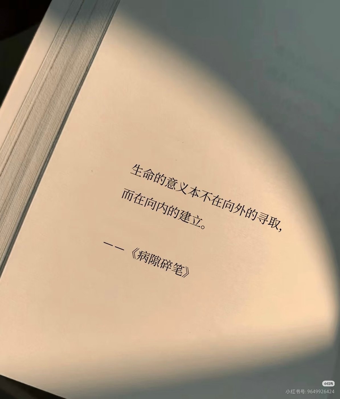 我的文学价值观
