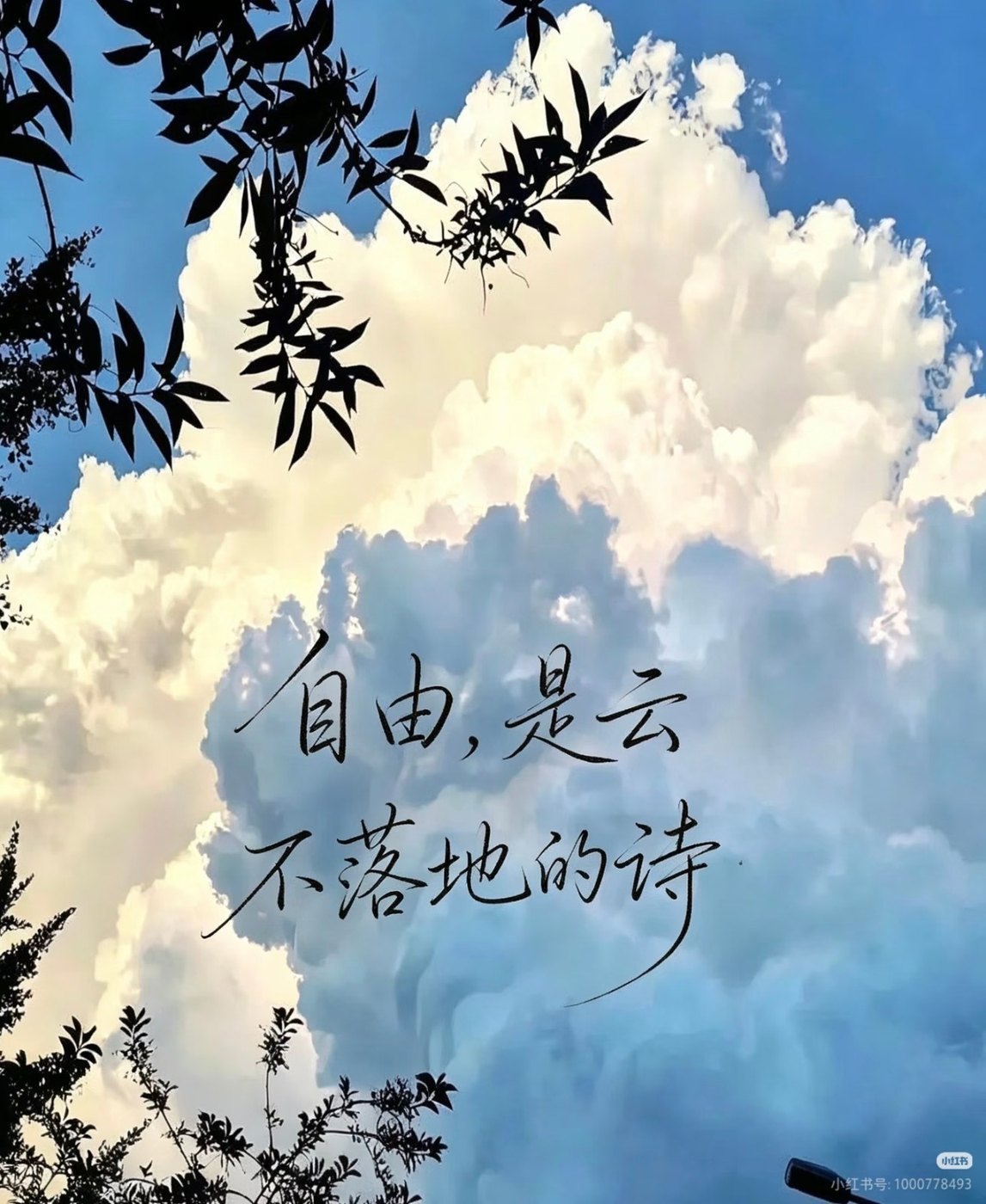 往后的18岁